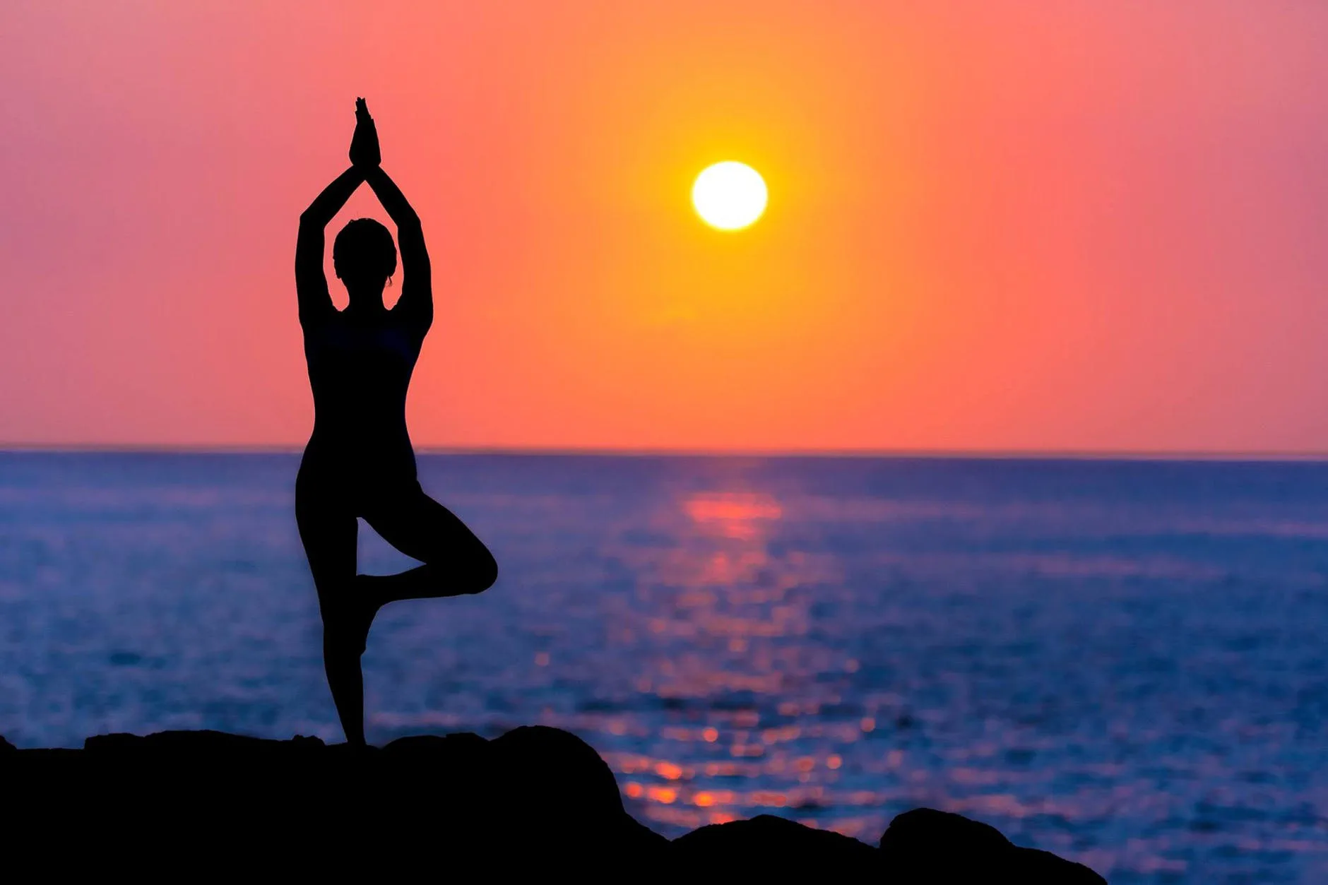 Beautiful Yoga Vector | Santosh Yoga Institute in Salt Lake City, UT