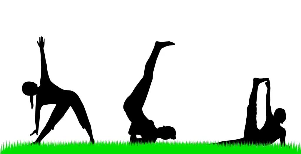 Different type yoga vector photo in Salt Lake City, UT | Santosh Yoga Institute