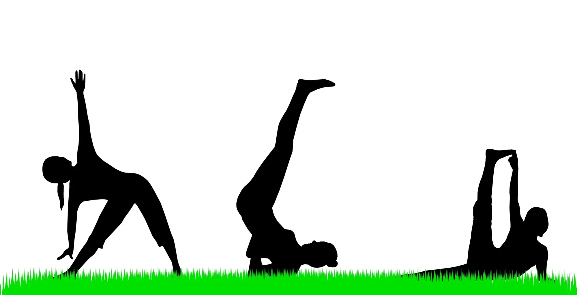 Different type yoga vector photo in Salt Lake City, UT | Santosh Yoga Institute