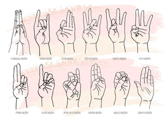 Mudras gesture in yoga fingers in Salt Lake City, UT | Santosh Yoga Institute