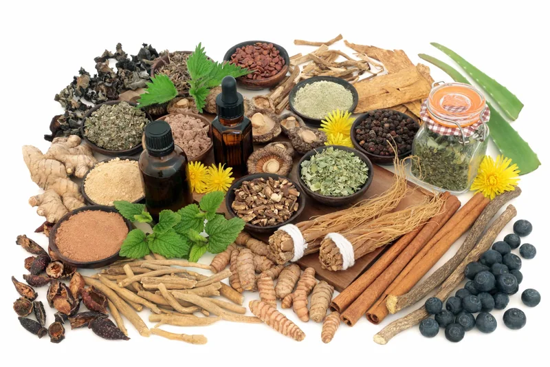 Powerful Ayurvedic Herbs in Salt Lake City, UT | Santosh Yoga Institute