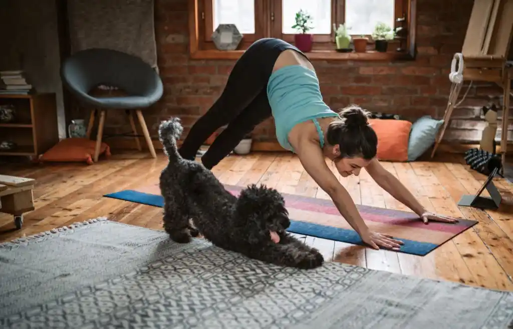 8 Yoga Tips for Beginners