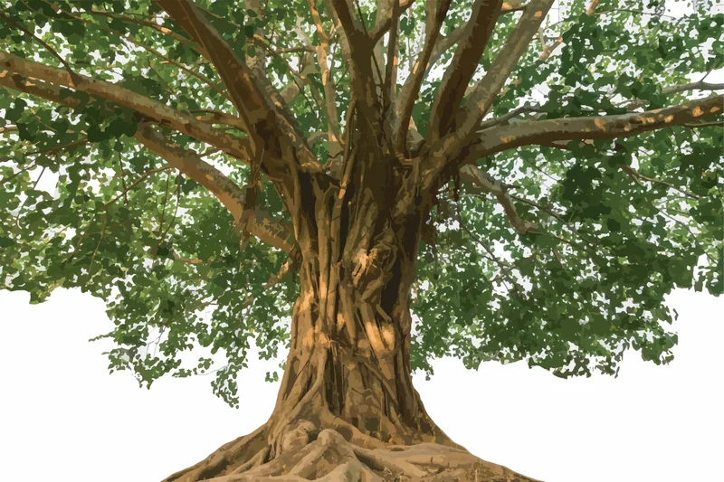 The Peepal Tree in Salt Lake City, UT | Santosh Yoga Institute