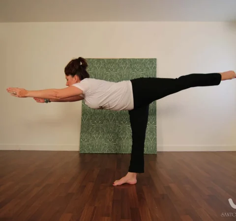 Short-for-Beginners-santosh-yoga-institute-gallery