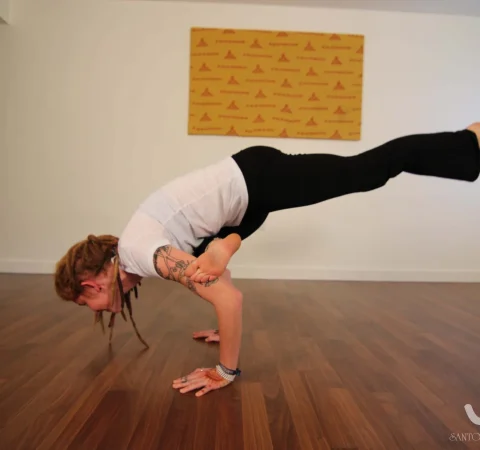 santosh-yoga-institute-traditional-yoga
